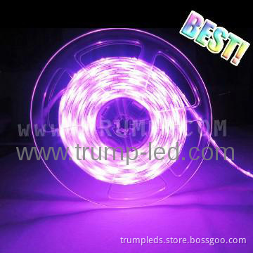 2013 hotest product halloween pumpkin decoration led  light